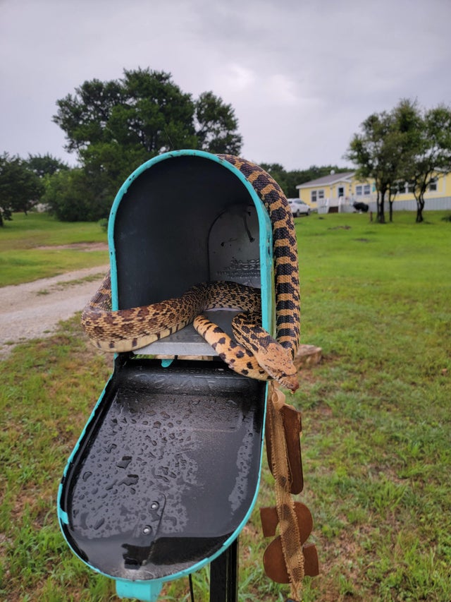 05-14-09-16222001881047762119