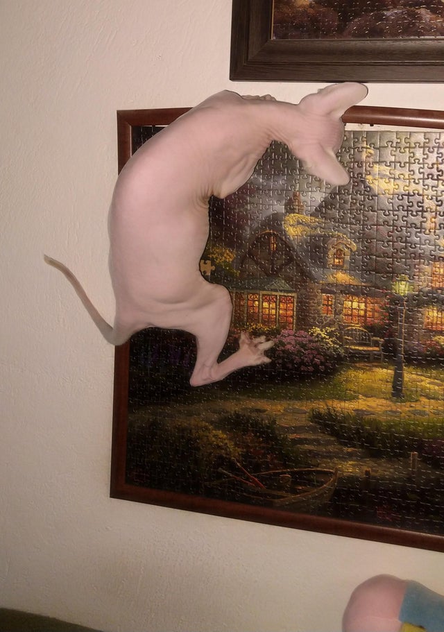 05-14-09-16222001951646914269