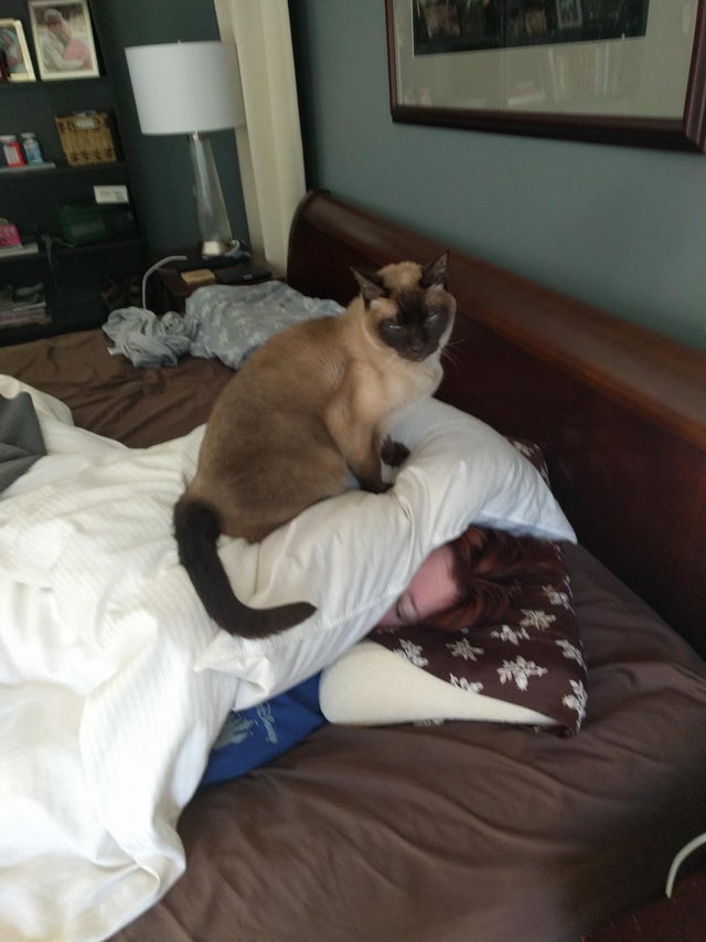 05-14-10-16215090011899784613