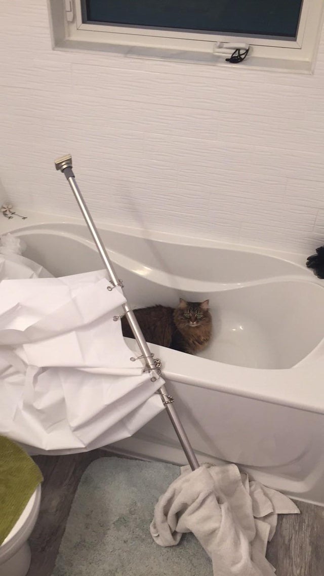 05-14-10-1621509004817397396