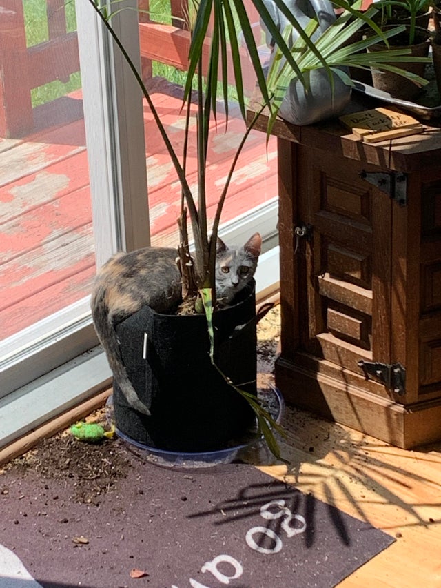 05-14-10-1621509007168953240