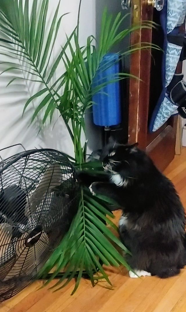 05-14-10-16215090141410433638