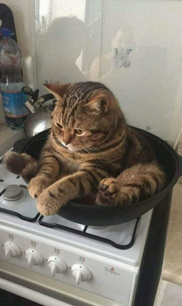 05-14-10-1621509019163661740