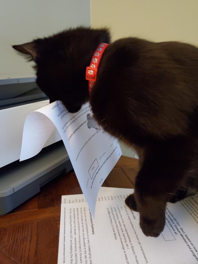 05-14-10-16215090251786509865