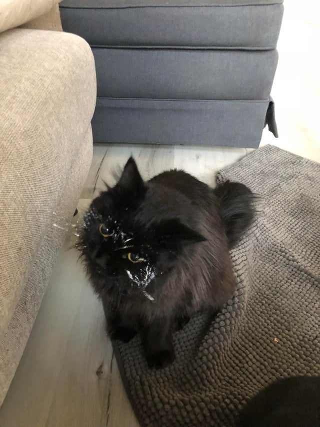 05-14-10-16215090281704095455