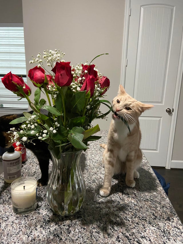 05-14-10-16215090311059043669