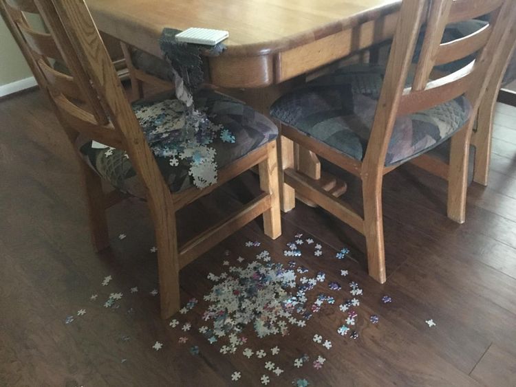 05-14-10-1622200206766253322