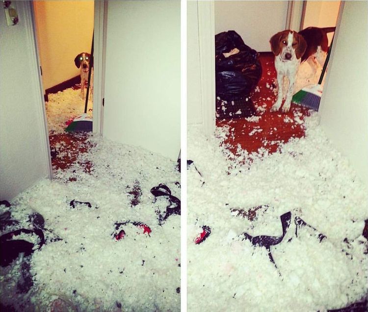 05-14-10-16222002142034900676