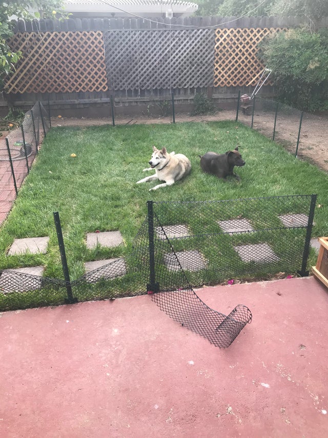 05-14-10-1622200240681814393