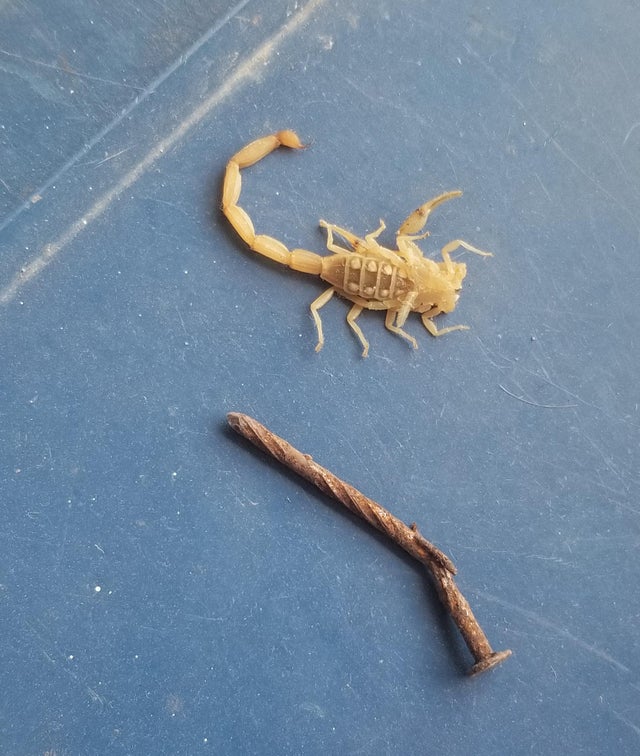 05-14-10-16222002431717630307