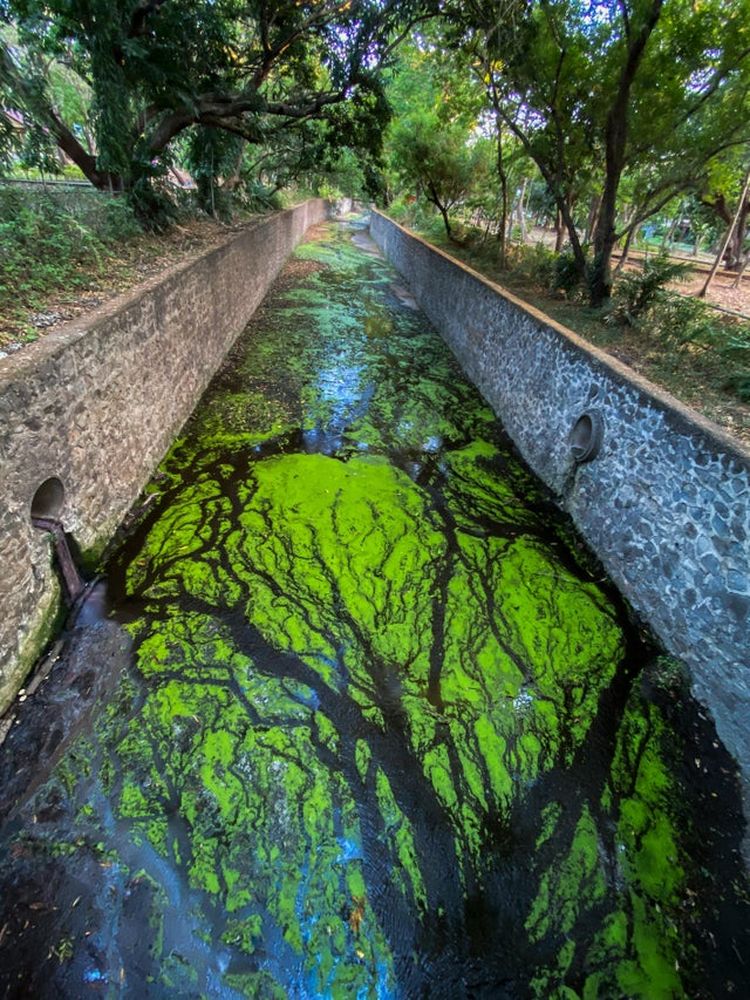 05-14-13-1621336385876890278