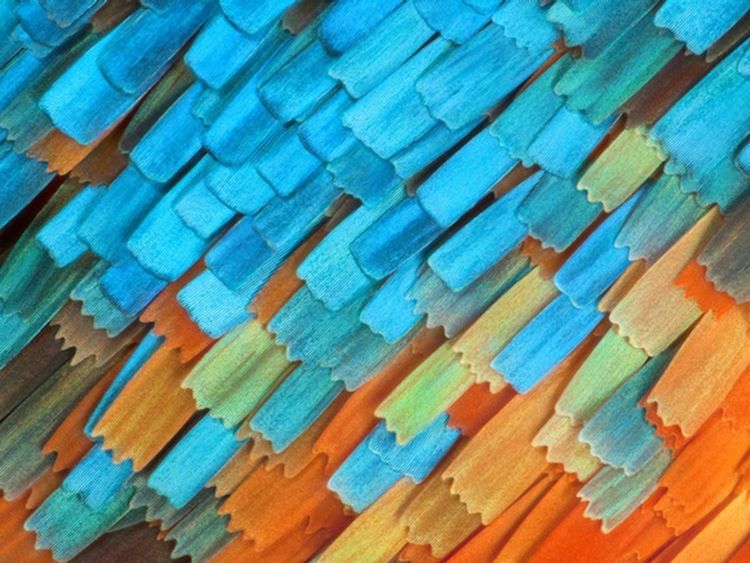 05-14-13-16213363961583470216