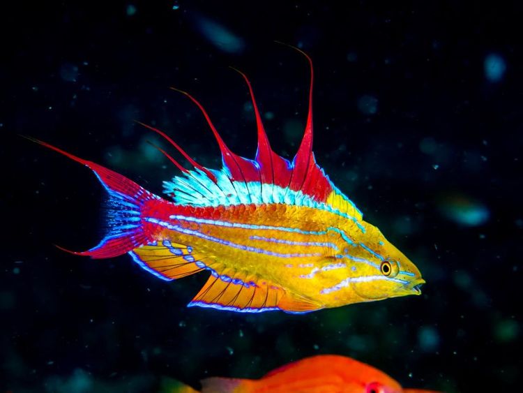 05-14-13-16213364151472536258