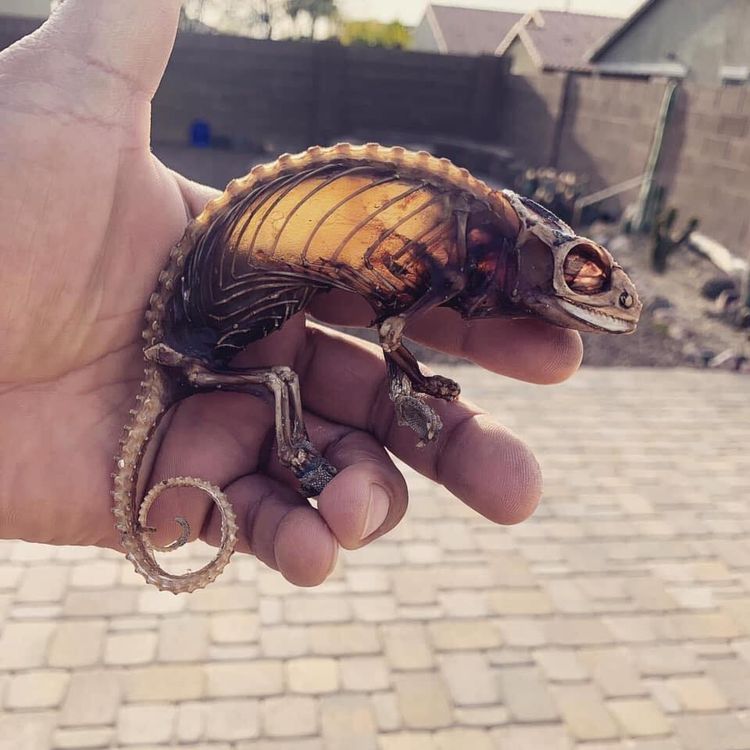 05-14-13-1621336426727221632