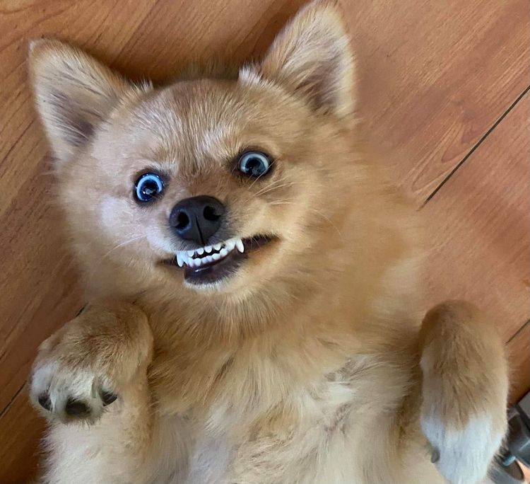 05-14-13-16218548331275403395