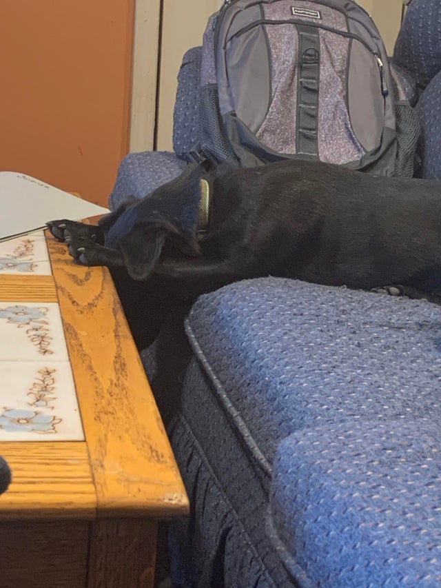 05-14-13-1621854836162518944