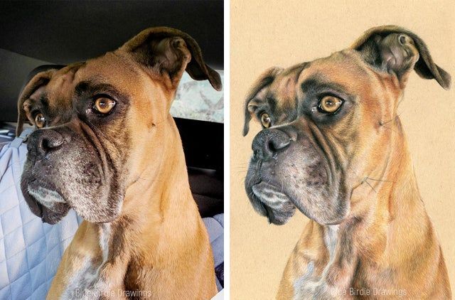 05-14-17-16219414391270308118