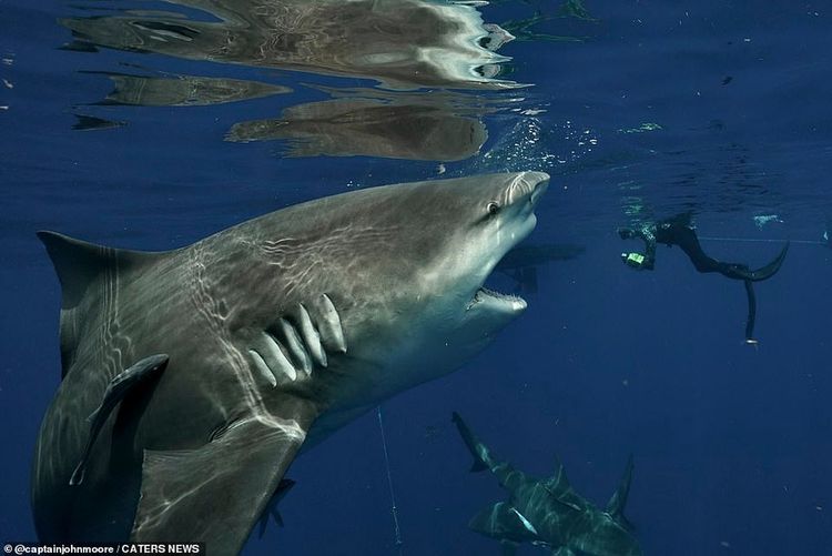 05-14-27-16209916381361482109