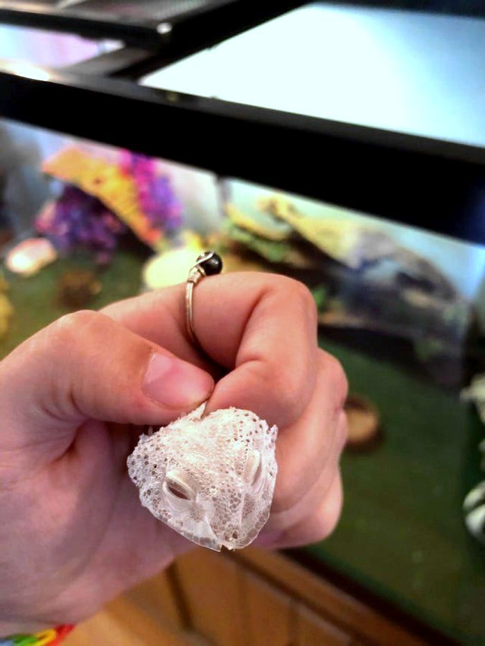 05-14-27-16214236531231489832