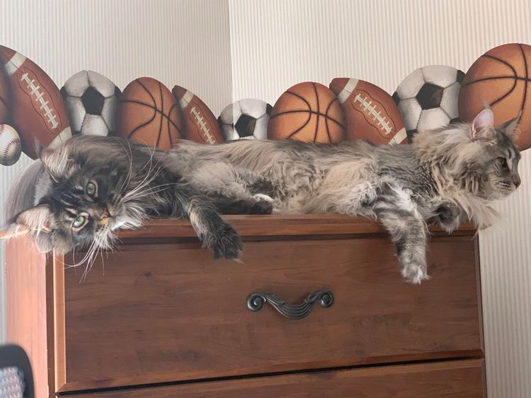 05-14-28-16209916801245448364