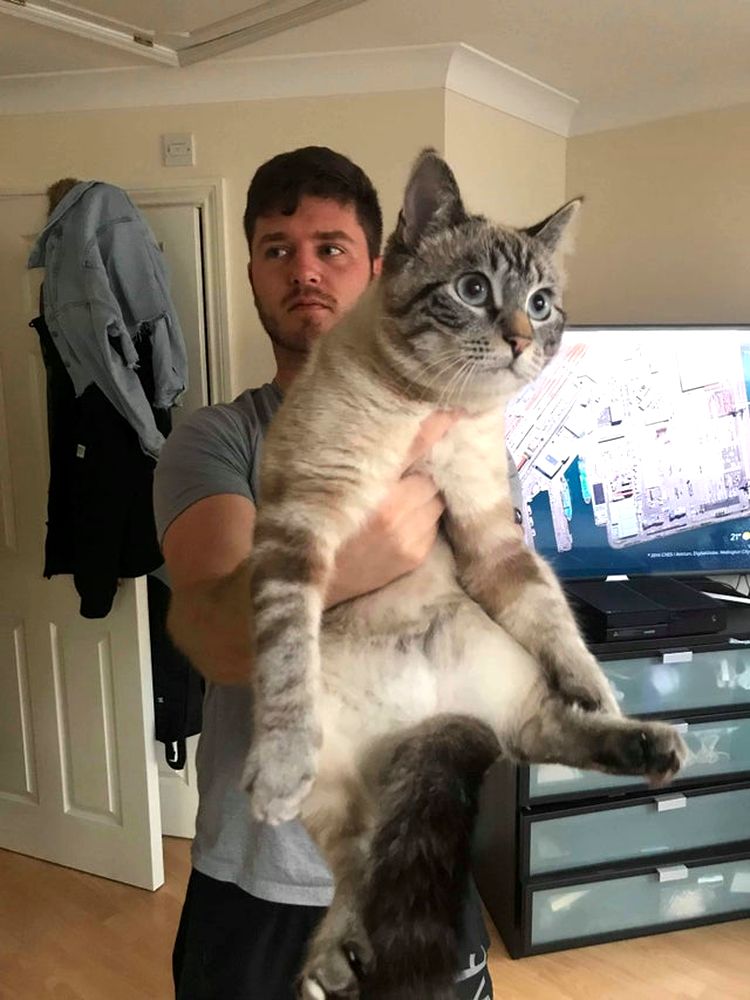 05-14-28-16209916831978494455