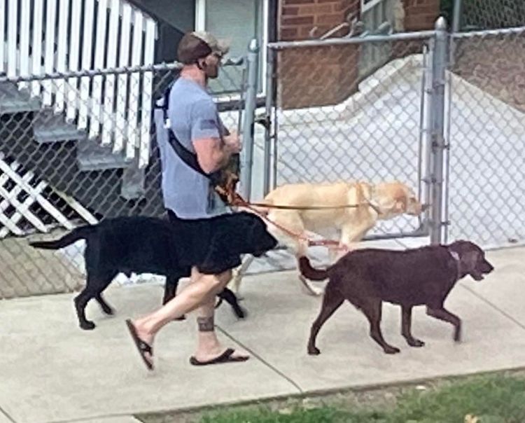 05-14-29-1620991741617570671