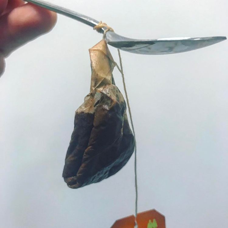 05-14-30-1620300612947410725