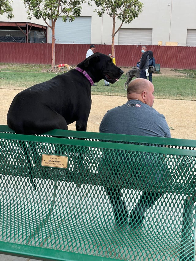 05-14-33-1622460812649306851