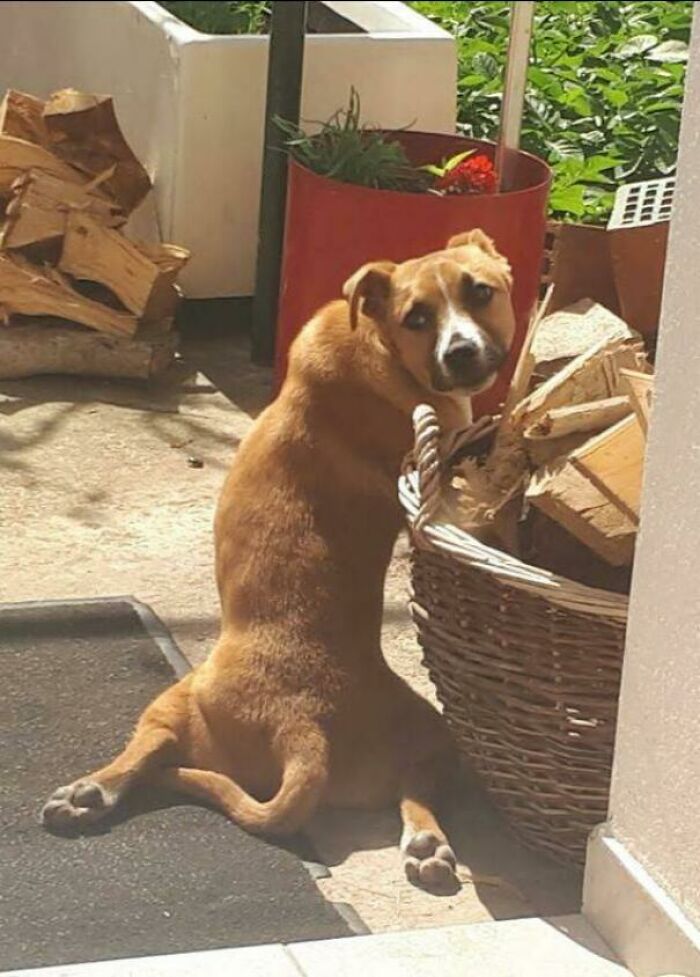 05-14-33-16224608221081214685