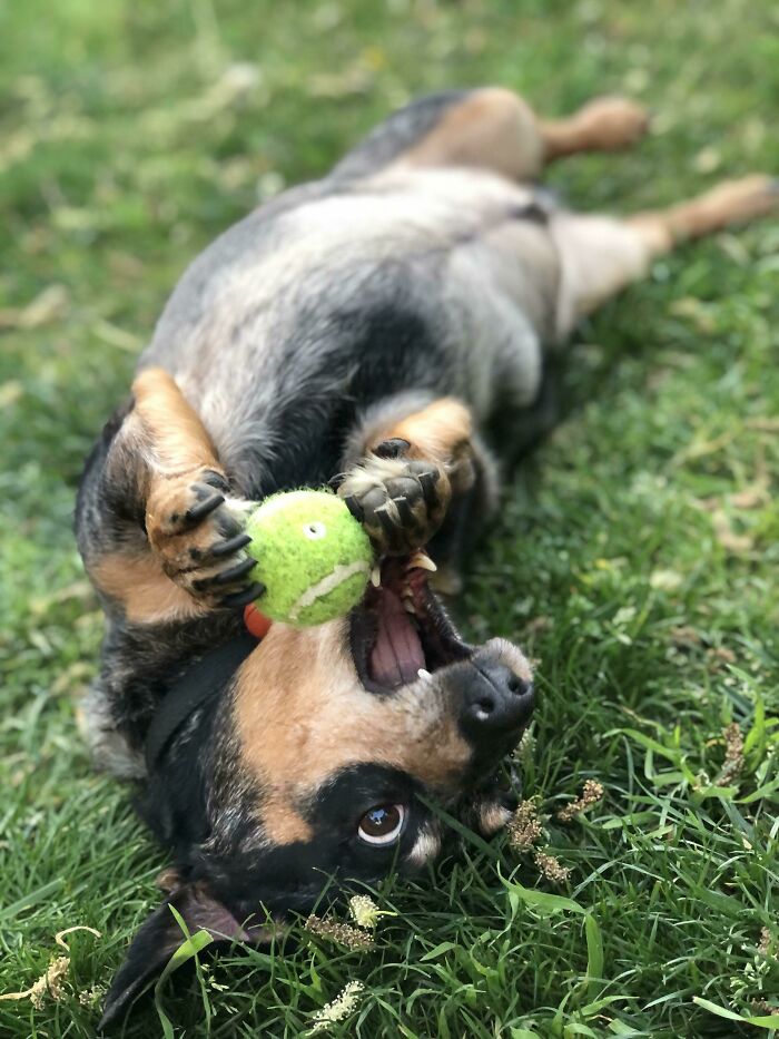 05-14-33-16224608261599624282