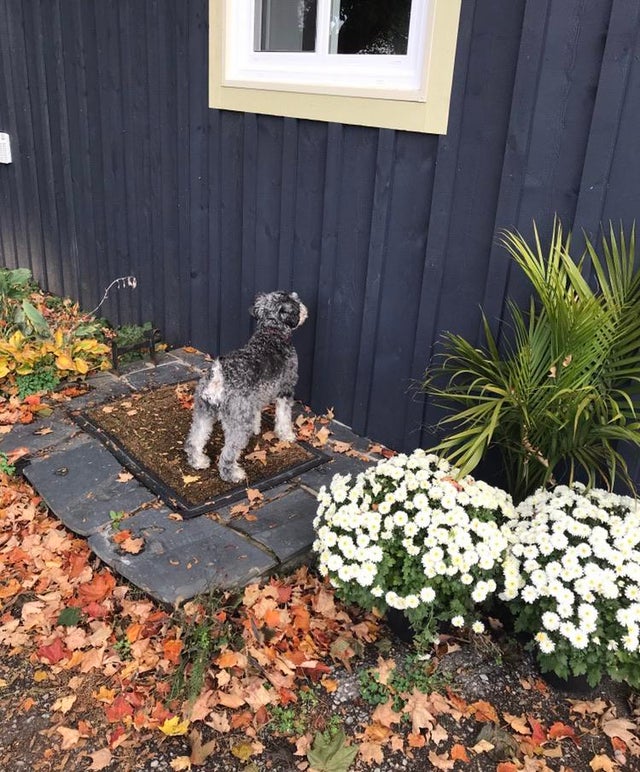 05-14-33-1622460839316380019