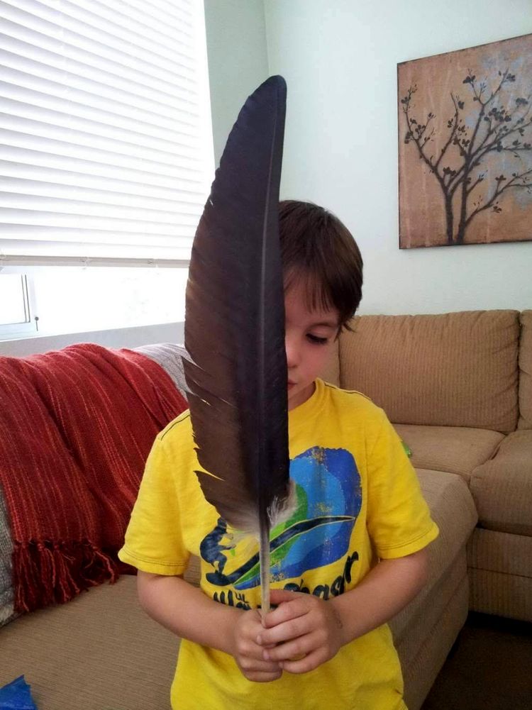 05-14-34-1620387273309250357