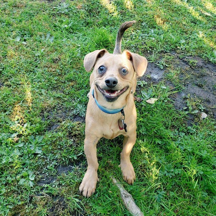 05-14-34-16224608431834614291