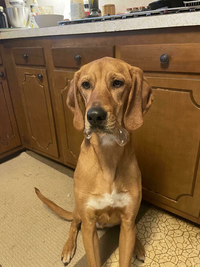 05-14-34-1622460846103995682