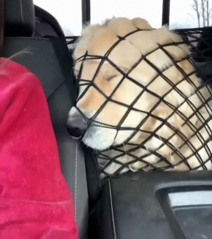 05-14-34-162246085479663525