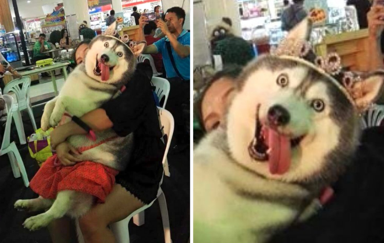 05-14-34-162246086030497755