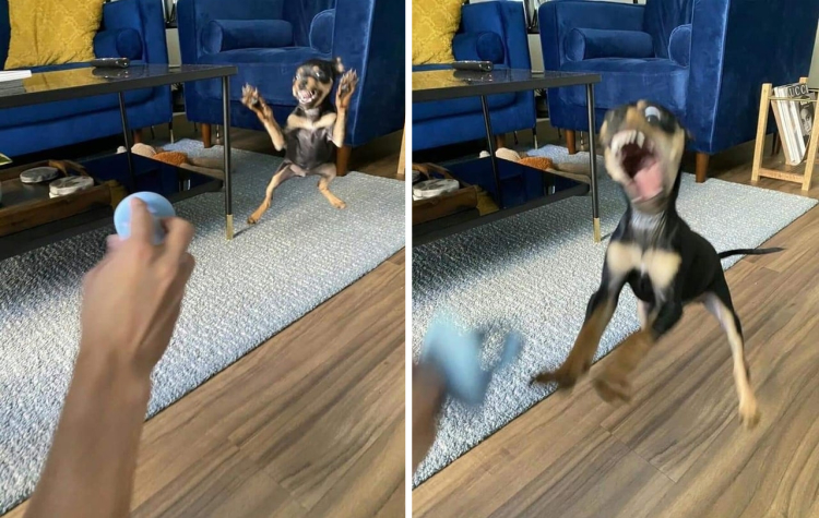 05-14-34-16224608671242171382