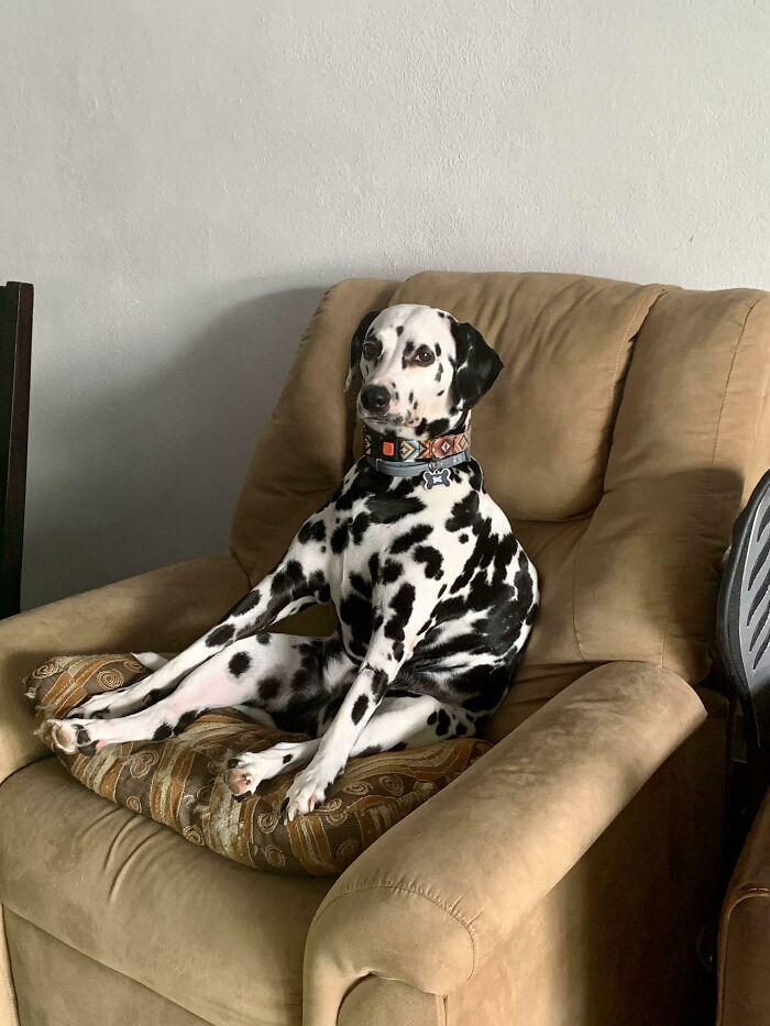 05-14-34-162246088427568415