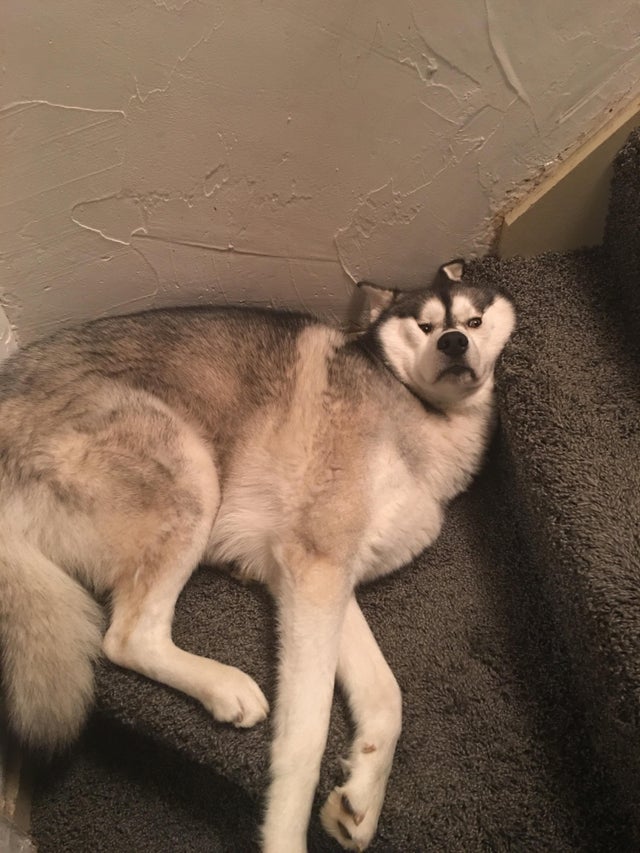 05-14-34-1622460886354877471