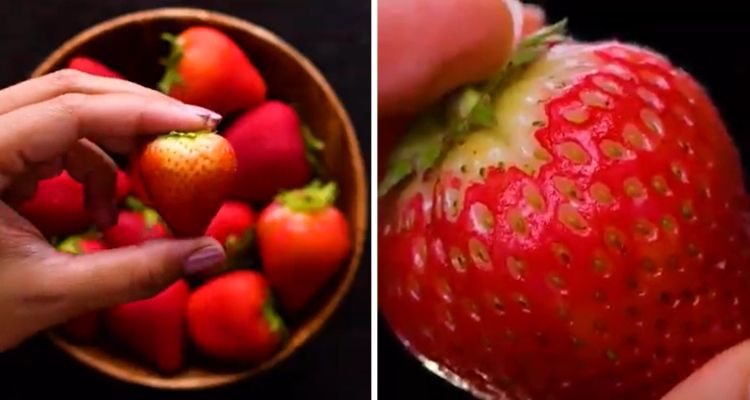 05-14-39-1620041954629058397