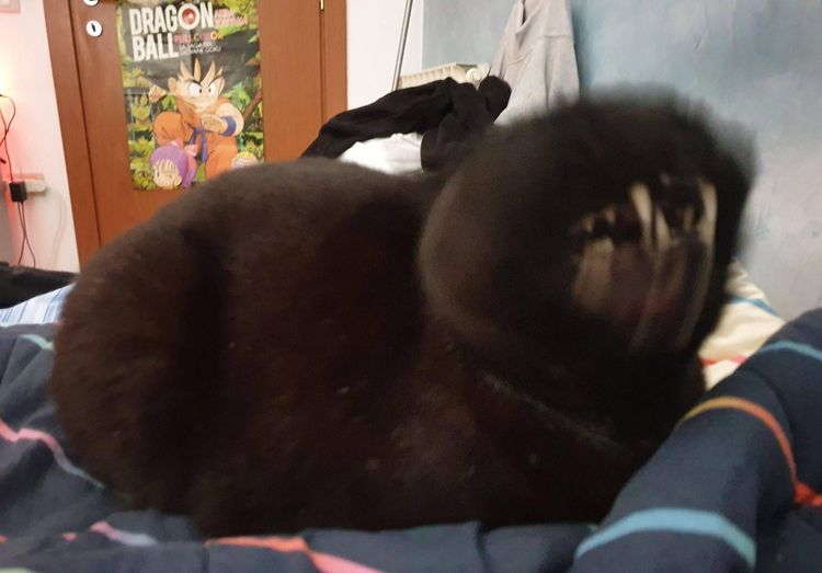 05-14-45-1620387911805113643