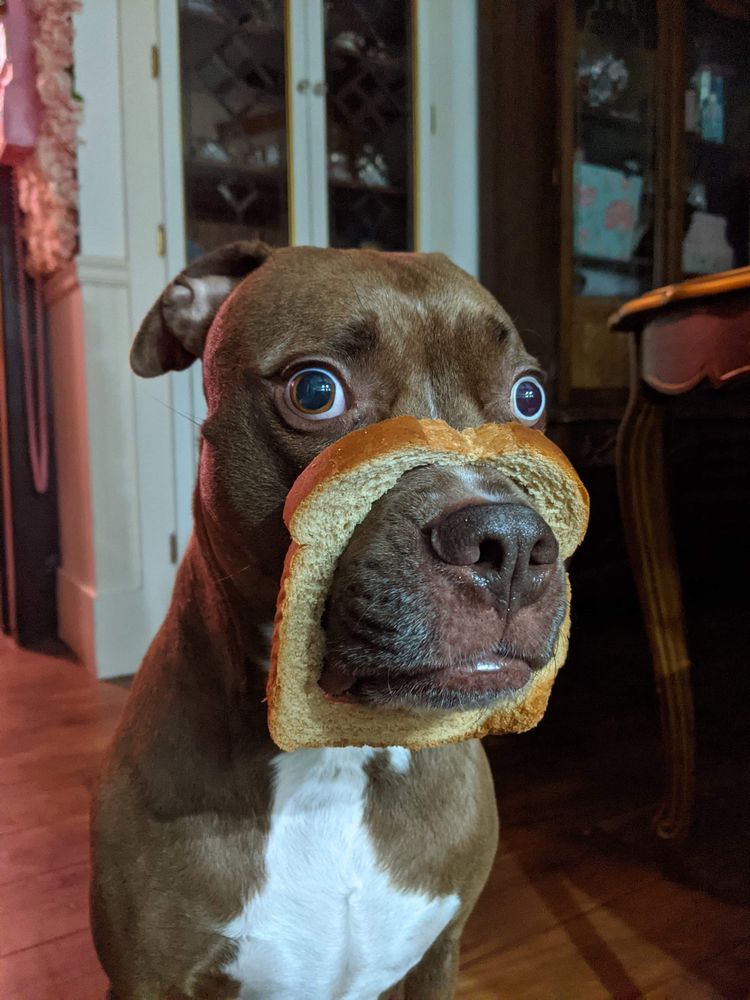 05-15-09-16224629691761913223