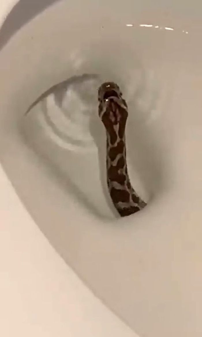 05-15-13-1620130387100007746