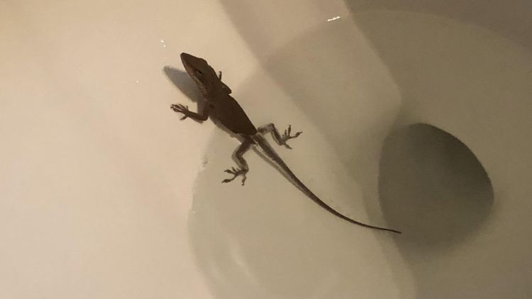 05-15-13-16201303871062964259