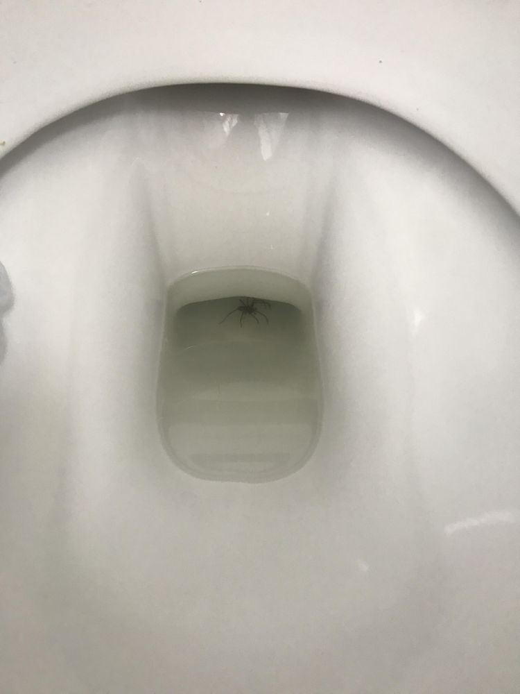 05-15-13-16201303872015997326