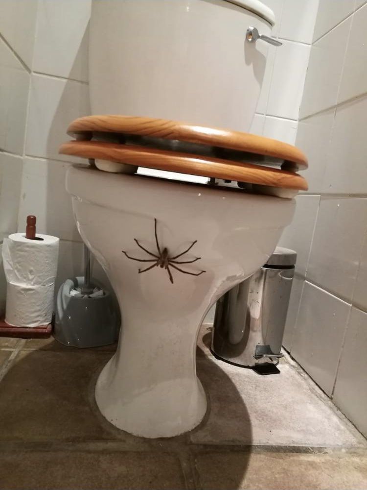 05-15-13-16201303872021372304