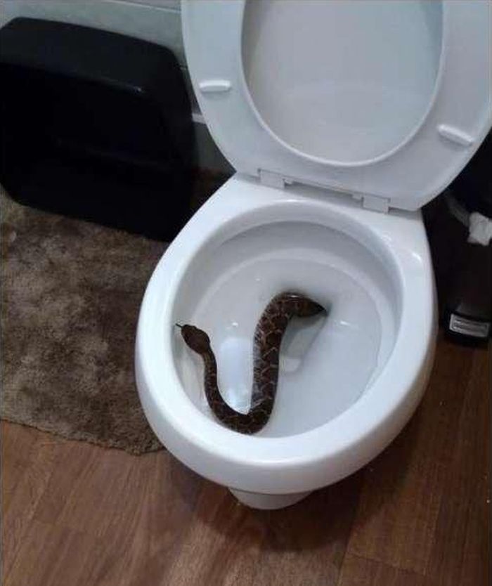 05-15-13-1620130387839630833