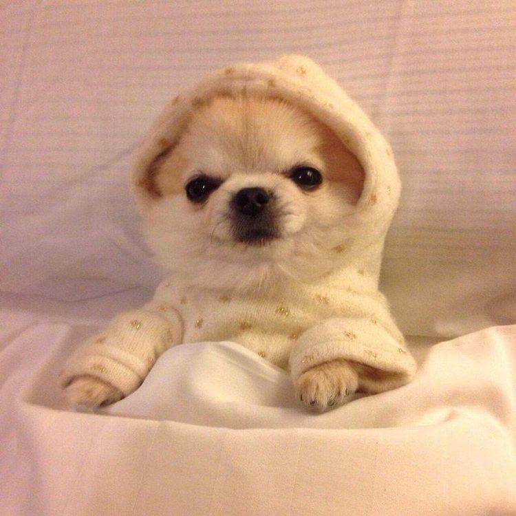 05-15-16-1620389797114304329