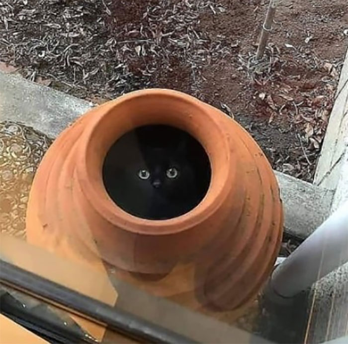 05-15-31-16200450811256902729