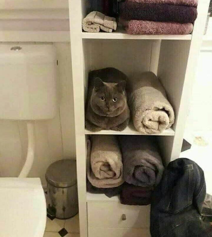 05-15-31-1620045081493568179